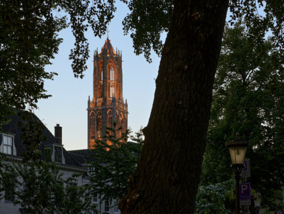 Ontdek Utrecht met een stadswandeling
