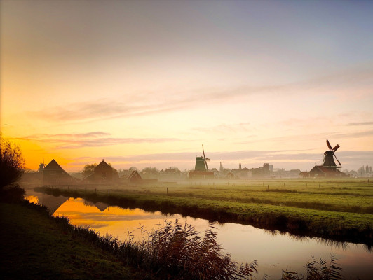Nederlands Module 2 [A1 tot A2], 1x per week
