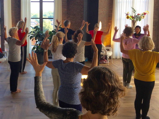 Qigong, een Chinese bewegingsleer