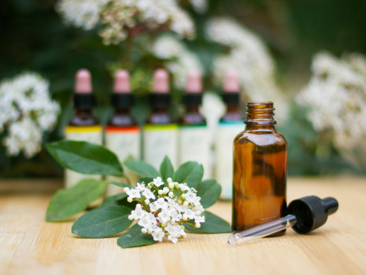 Eerste Hulp met Homeopathie