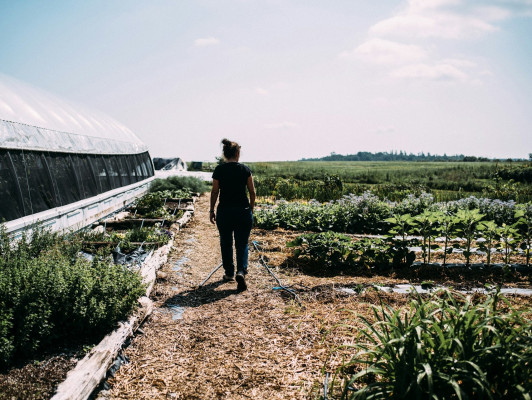 Moestuinieren van ontwerp tot oogst I
