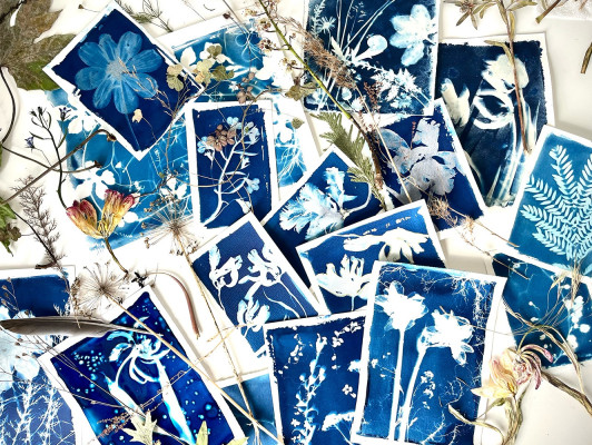 Botanical Cyanotype Sunprints