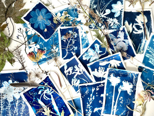 Cyanotype Sunprint Workshop