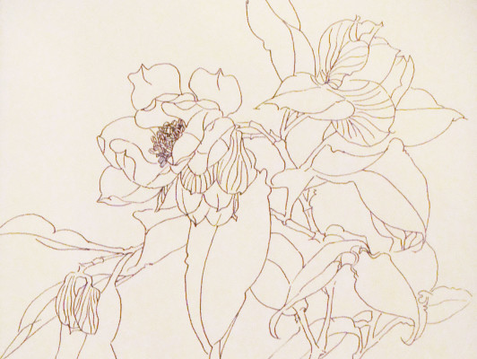 Botanische kunst en Botanisch tekenen