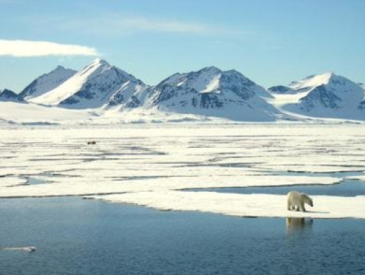 De Arctis, het unieke noordpoolgebied
