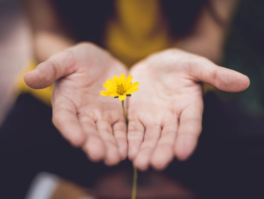 Introductie naar Mindfulness