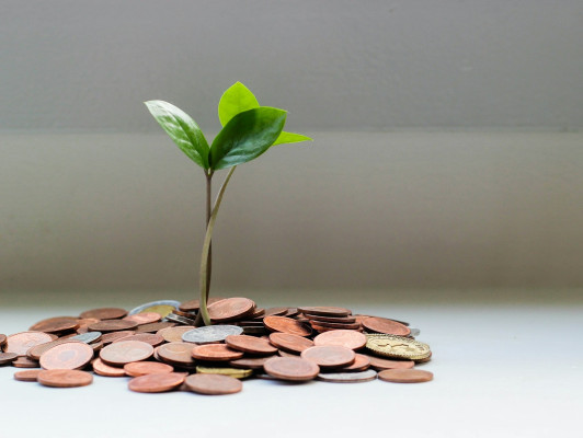 Van meer naar genoeg - een andere kijk op economie, werk en succes