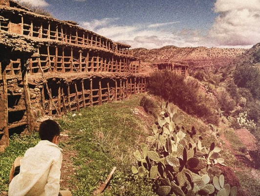 Littérature française: Souviens-toi des abeilles de Zineb Mekouar