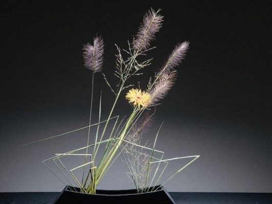 Ikebana, de kunst van het weglaten