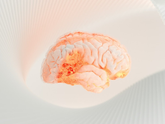 Neurodivergentie: Adhd, autisme, hoogbegaafdheid en andere eigenzinnigheden